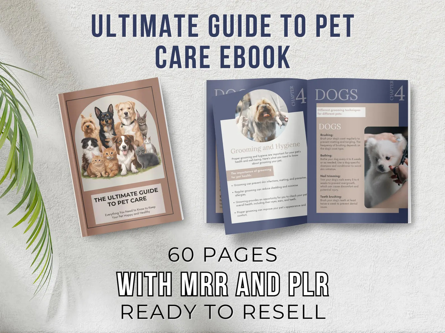 Pet Care eBook